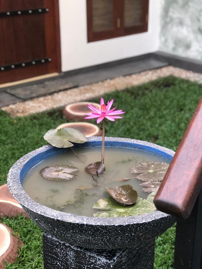 Summer Time Hiriketiya Dikwella Ngoại thất bức ảnh