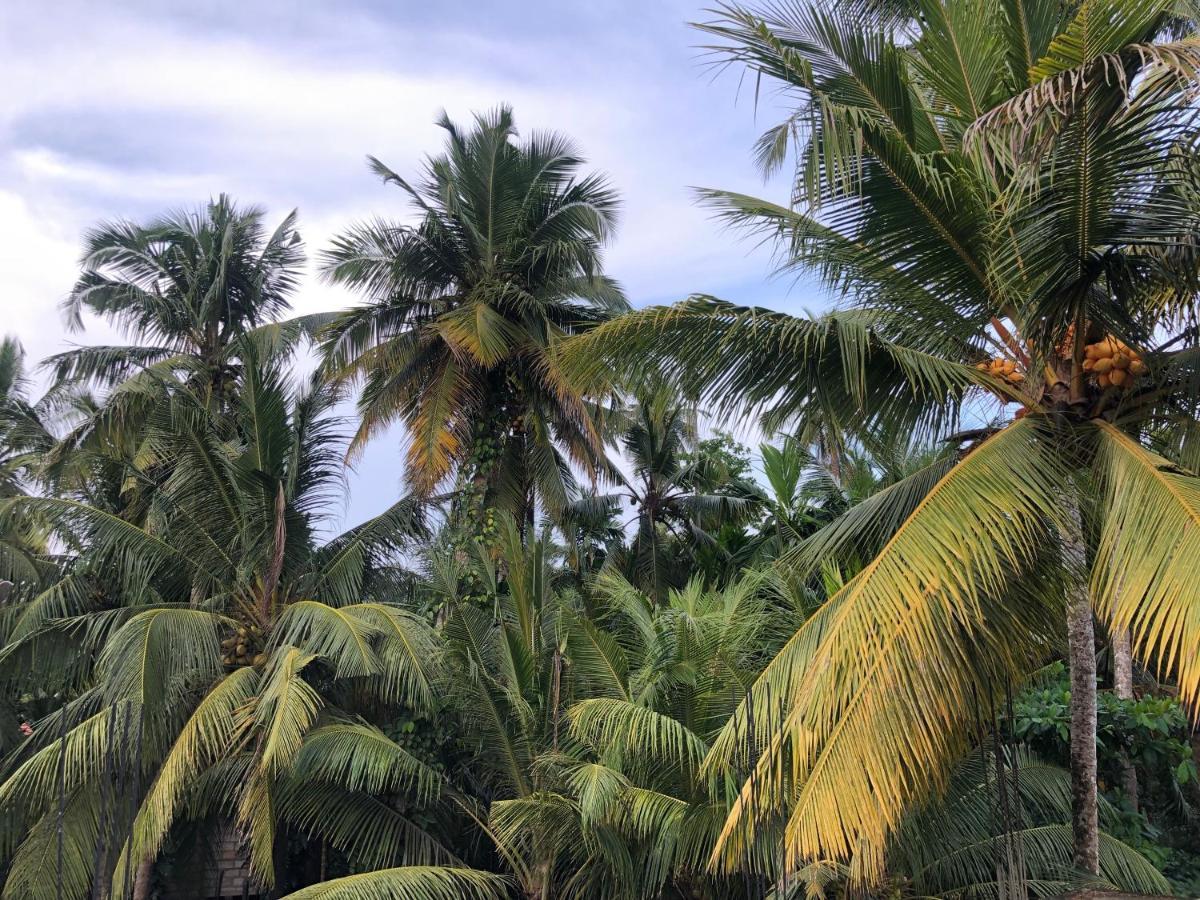 Summer Time Hiriketiya Dikwella Ngoại thất bức ảnh